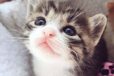 http://lanzhou.qqkaixin.com/post/193.html|兰州供卵助孕