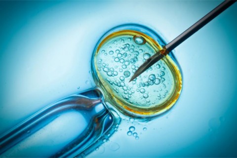http://lanzhou.qqkaixin.com/post/199.html|兰州供卵助孕